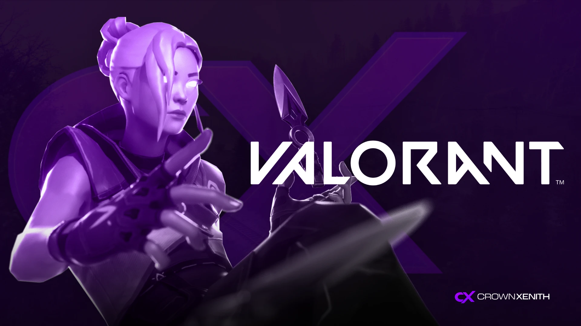 Shield: Valorant External Cheat