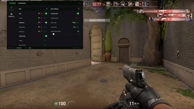 Shield: Valorant External Cheat