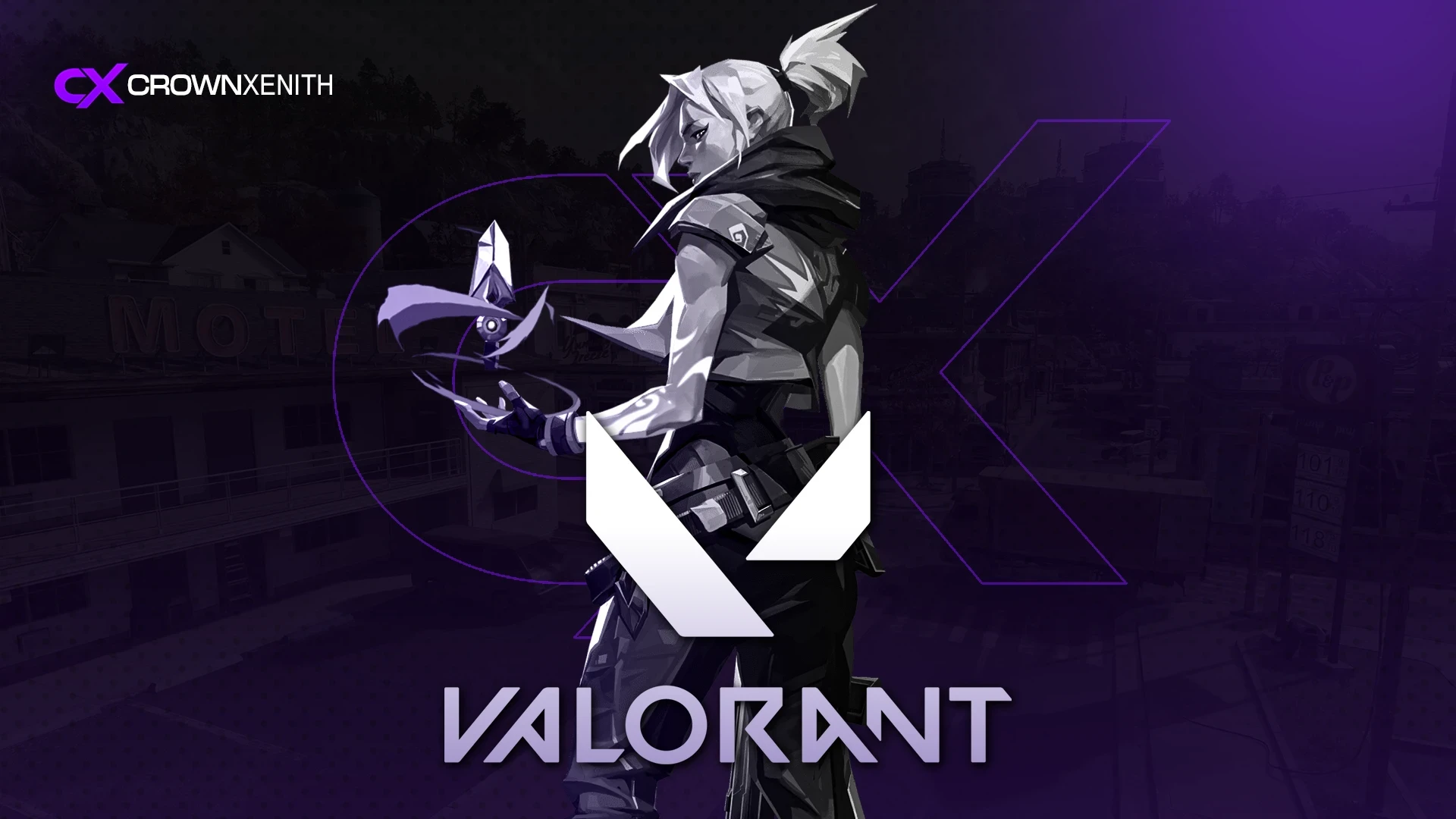 Valorant Shield External